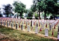 Confederate Memorial Day - monuments & flags